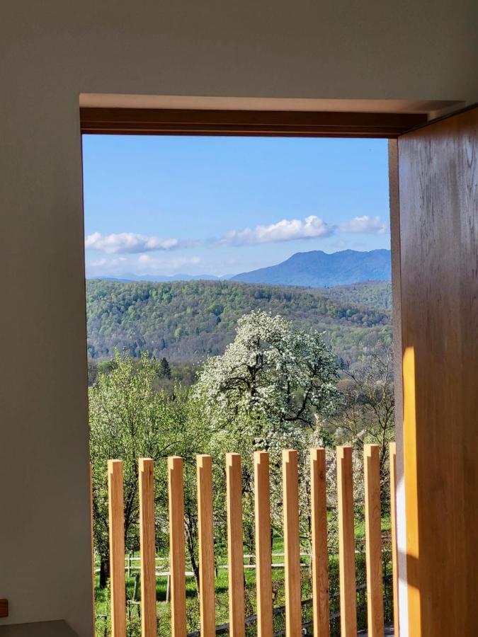 Guest House Domacija Krnc Hrib pri Hinjah Esterno foto