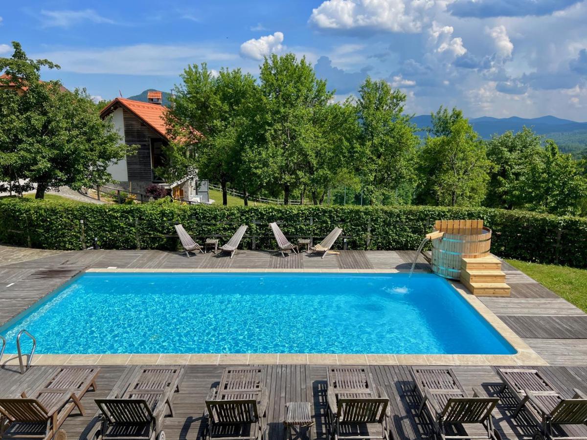Guest House Domacija Krnc Hrib pri Hinjah Esterno foto