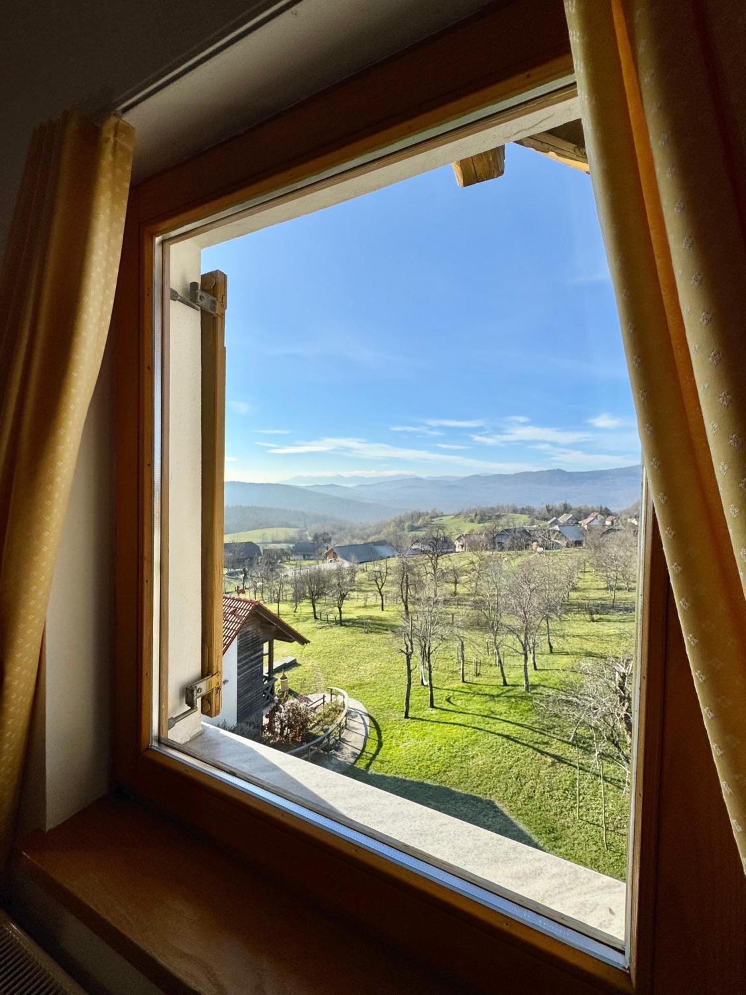 Guest House Domacija Krnc Hrib pri Hinjah Esterno foto